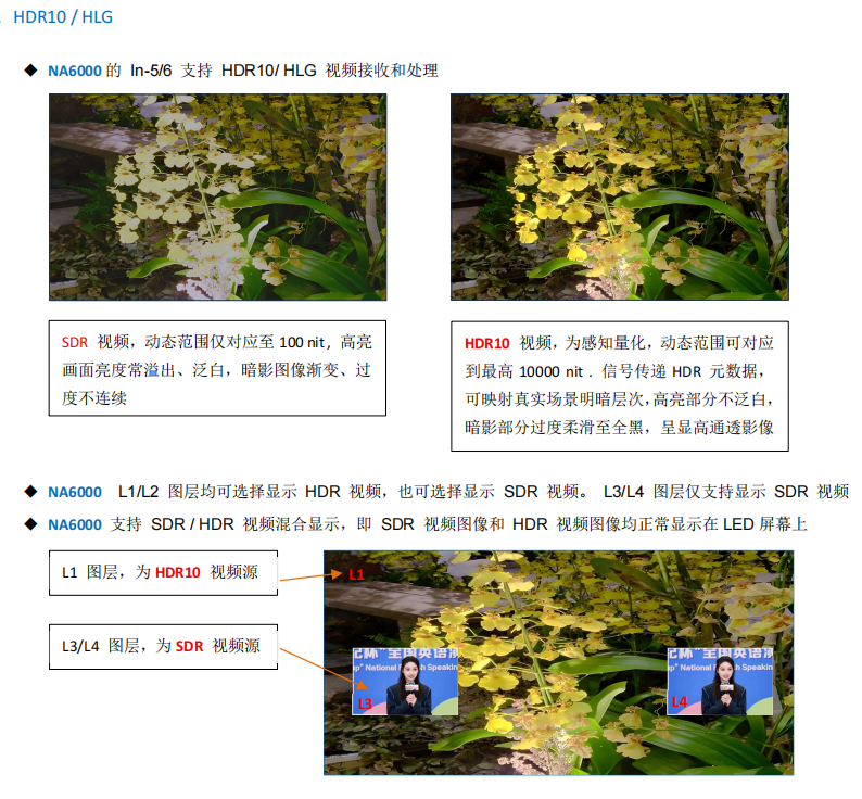 e7994096-7258-4335-96f7-6ed5a892e042.png